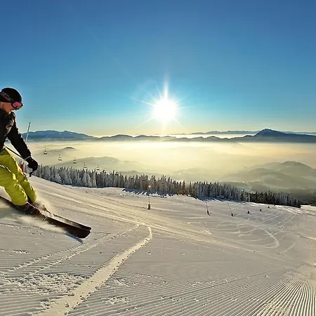 Willa Janosikuv Pramen - Horska Wellness Zázrivá