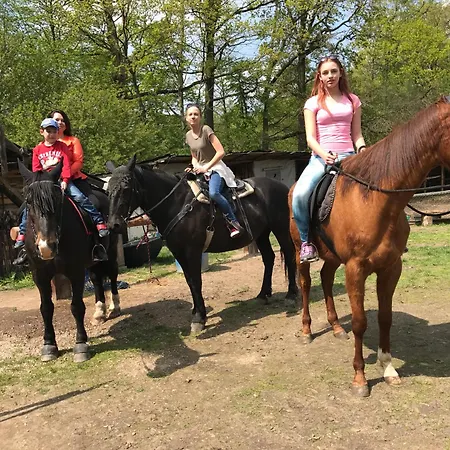 Janosikuv Pramen - Horska Wellness Villa Zazriva