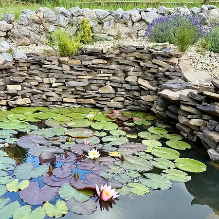 Janosikuv Pramen - Horska Wellness * Zázrivá