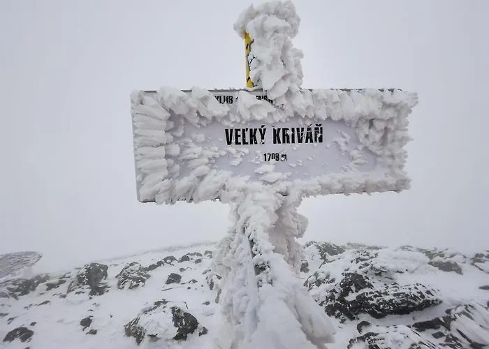 فيلة Janosikuv Pramen - Horska Wellness Zázrivá