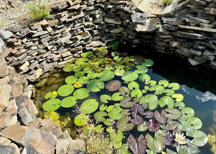 فيلة Janosikuv Pramen - Horska Wellness *